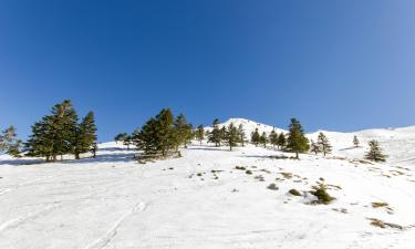 Lejligheder i Parnassos Ski