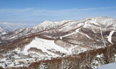 Shiga Kogen – hotely povoľujúce pobyt s domácimi zvieratami