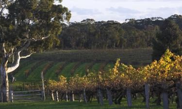 Luxusní hotely v regionu Barossa Valley