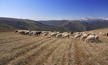 Obiekty na wynajem sezonowy w regionie Trás-os-Montes e Alto Douro