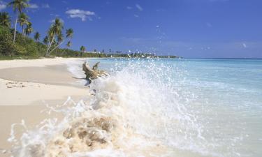 Resorts in La Romana Beaches