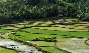 מלונות בEast Nusa Tenggara