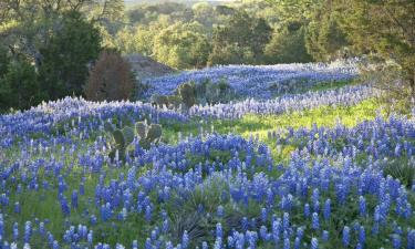 Hotels accessibles a Texas Hill Country