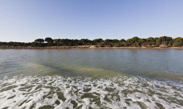 Hotels de platja a Parc nacional de Doñana