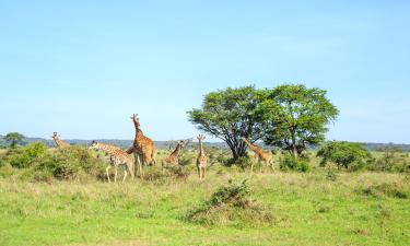 Nairobi National Park apartmanjai