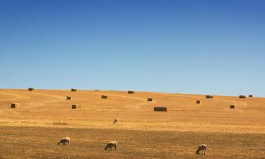 Bændagistingar á svæðinu Central West NSW