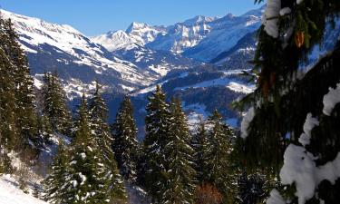 Alpes Vaudoisesのシャレー