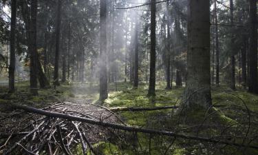 Bialowieza National Park çiftlik evlerini