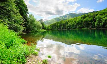 Chalets de montaña en Parque nacional de Biogradska Gora