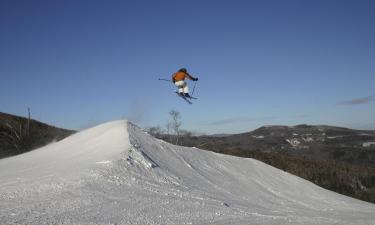 Lemmikkiystävälliset hotellit alueella Sugarbush