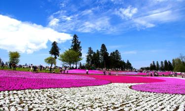 Saitama – hotely povoľujúce pobyt s domácimi zvieratami