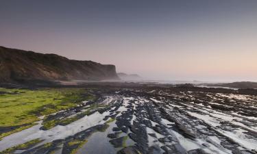 Haustierfreundliche Hotels in der Region Alentejo Litoral