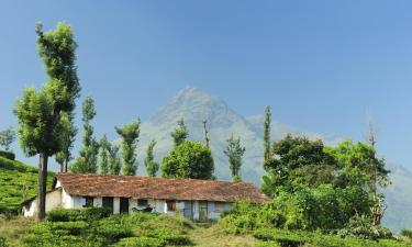 Habitacions en cases particulars a Wayanad