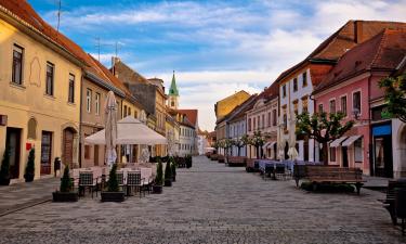 Hoteles con hidromasaje en Varaždin County