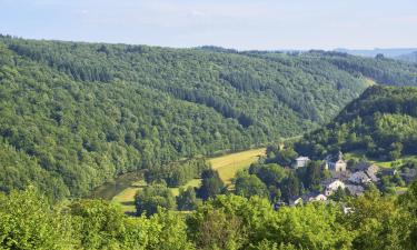 Campings en Provincia de Namur