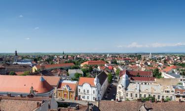 Hotely s bazénem v regionu Satu Mare