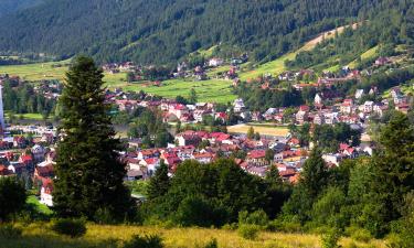 Rentas vacacionales en Beskid Mountains