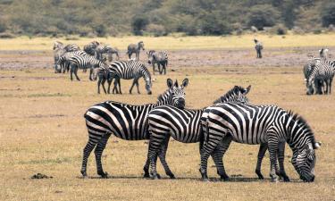 Hotels in der Region Meru National Park 