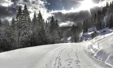 Wellness hotely v regionu Feldberg