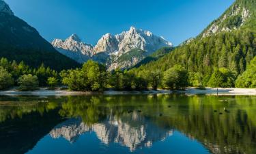 Kranjska Gora  में केबिन