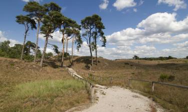 Bed and breakfasts v regionu Gelderland