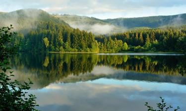 Spa hoteli u regiji Harz