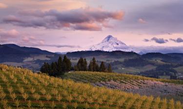 Готелі в регіоні Oregon