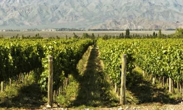 Wine Route Mendoza – lacné hotely