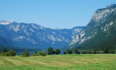 Appartements dans cette région : Gorenjska (Haute-Carniole)