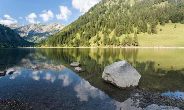 Πολυτελή Ξενοδοχεία σε Tannheimer Tal