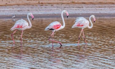 Вілла в регіоні Nature Reserve Ria Formosa 