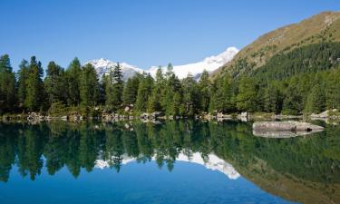 Апартаменти в регіоні Engadin