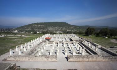 Lodges dans cette région : Hidalgo