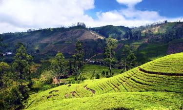 Nuwara Eliya District में सस्ते होटल