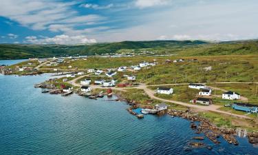 Bed and Breakfasts en Newfoundland and Labrador