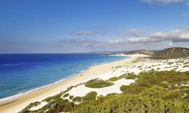 Hôtels dans cette région : Chypre du nord