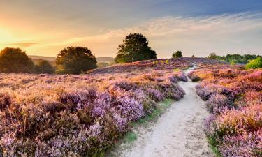 Ξενοδοχεία που Δέχονται Κατοικίδια σε Hoge Veluwe National Park