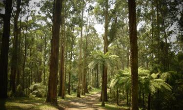 Спа-готелі в регіоні Dandenong Ranges