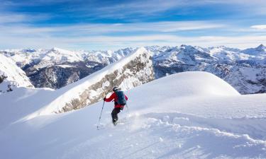 Appartements dans cette région : Alpes allemandes