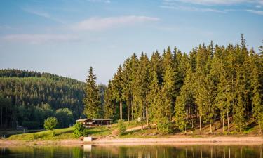 Апартаменты/квартиры в регионе Thuringian Forest