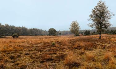 Achterhoek: nakvynės su pusryčiais namai