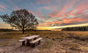 Rumah liburan di Drenthe