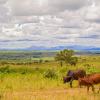 Obiekty B&B w regionie Lilongwe City