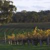 Hoteluri de lux în Barossa Valley