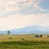 Southern Alberta में पालतू जानवरों के अनुकूल होटल