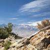 Hotéis que Aceitam Animais de Estimação em Eastern Sierra