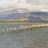 Maisons d'Hôtes dans cette région : Magallanes