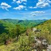 Hoteles que aceptan mascotas en Parque Nacional de Shenandoah