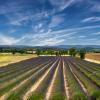 Provence-Alpes-Côte d'Azur Oda ve Kahvaltıları