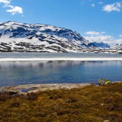 Haukelifjell 4 budjettihotellia